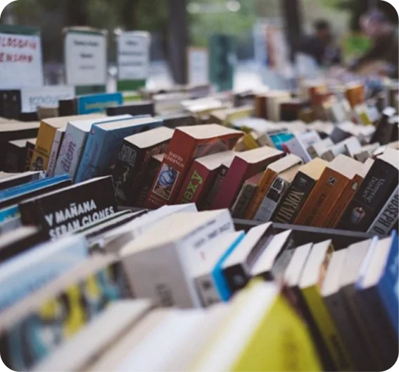 Rows of books arranged on tables at a book stall